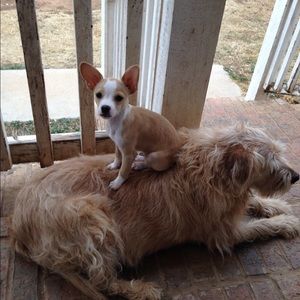 Meet your Posher, James